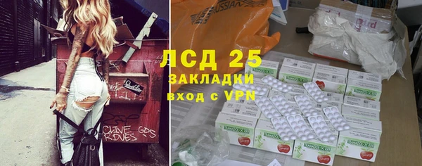 ГАЛЛЮЦИНОГЕННЫЕ ГРИБЫ Бугульма