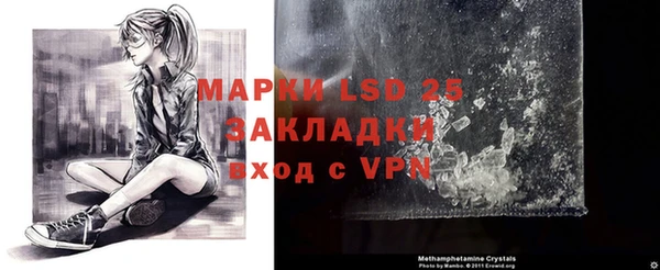 ГАЛЛЮЦИНОГЕННЫЕ ГРИБЫ Бугульма