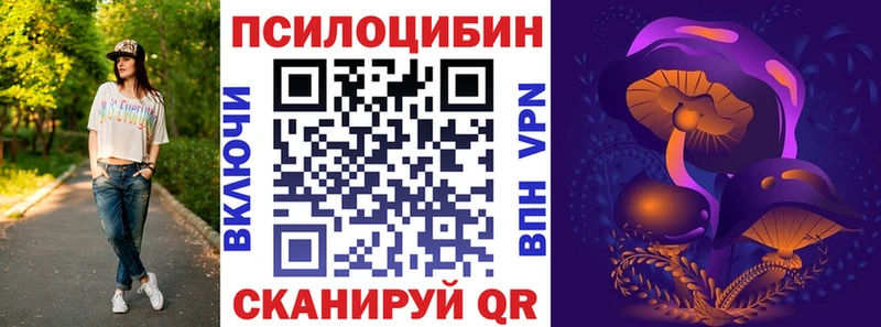 Купить закладки  Куртамыш  Псилоцибиновые грибы мицелий 