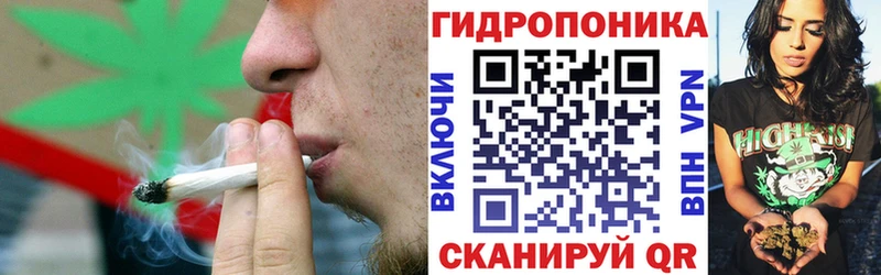 Конопля сатива  Купить закладки  Куртамыш 